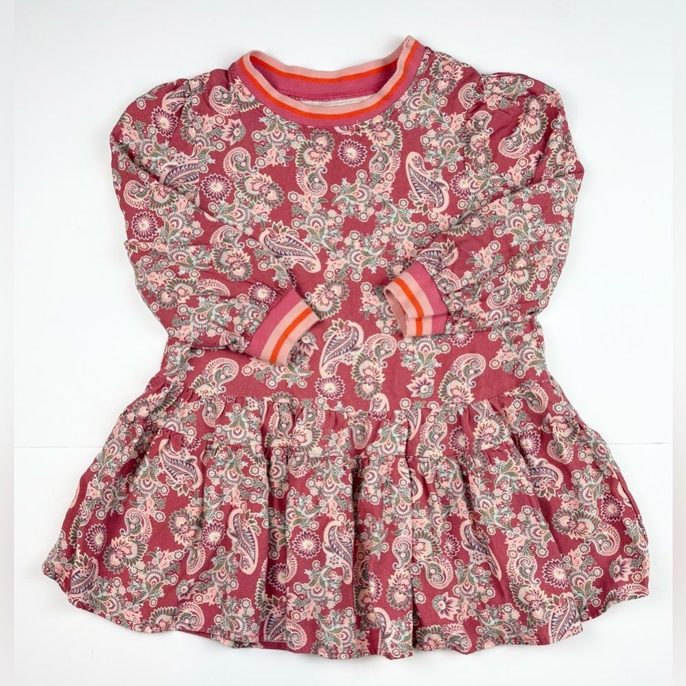 Peek Girl's Paisley Long Sleeve Drop Waist Dress size 3T